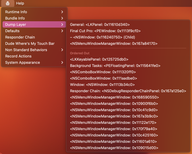 Within the menu bar, the AppKit debugging menu is open. The submenu